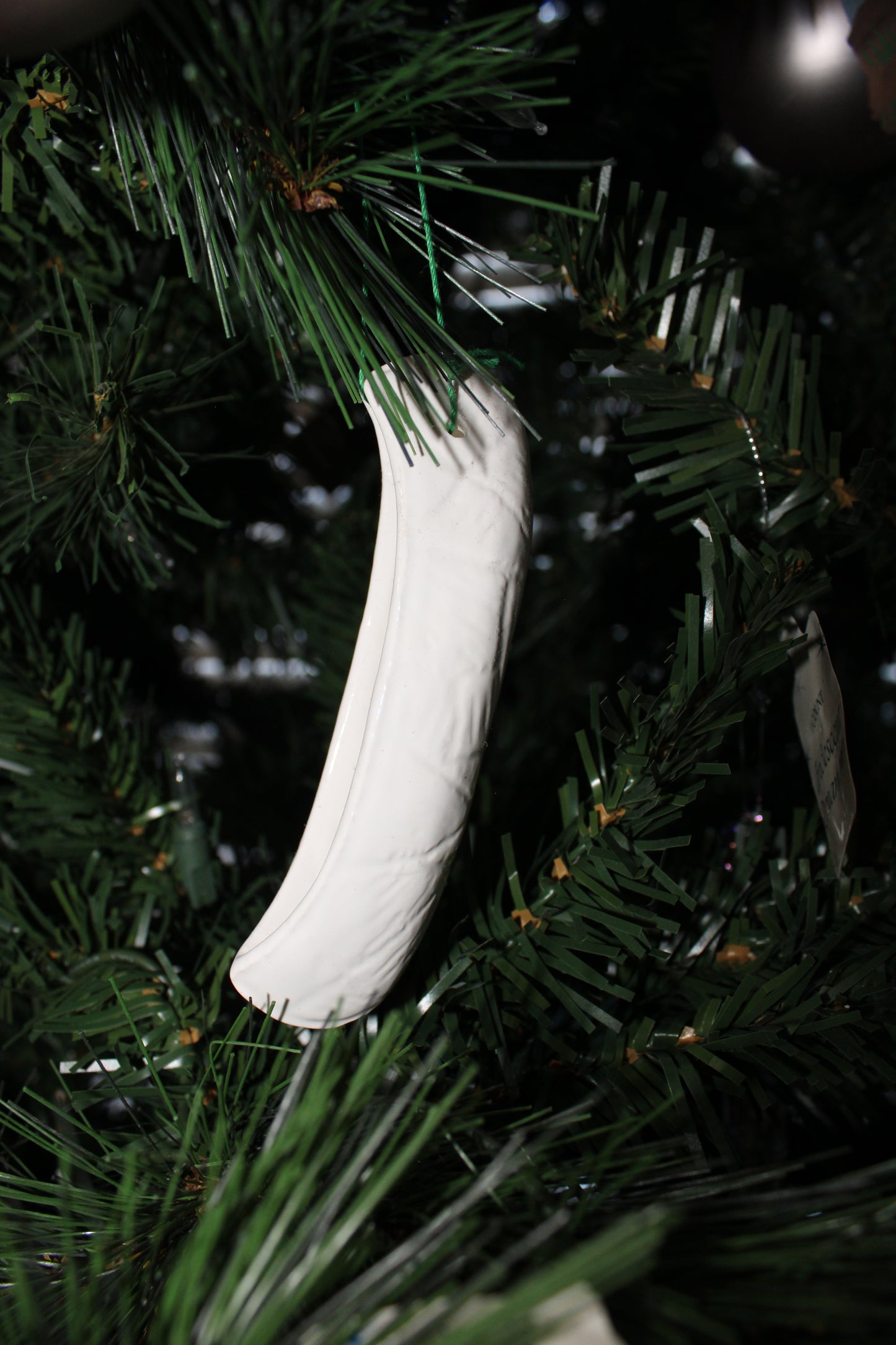 Snake Canoe Christmas Ornament